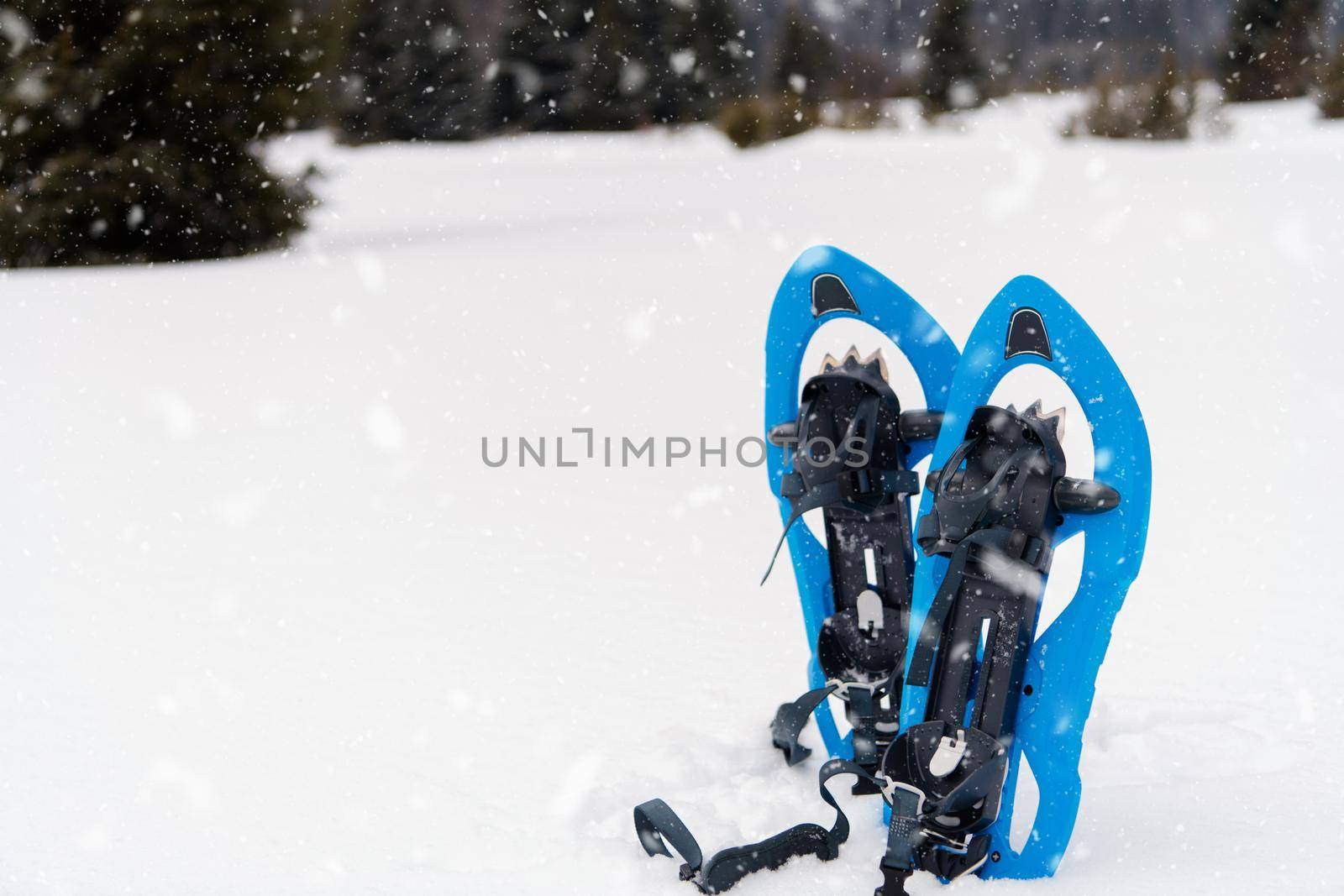 Winter hiking in the mountains  Blue snowshoes in fresh show with snowflakes around them on snowy winter day