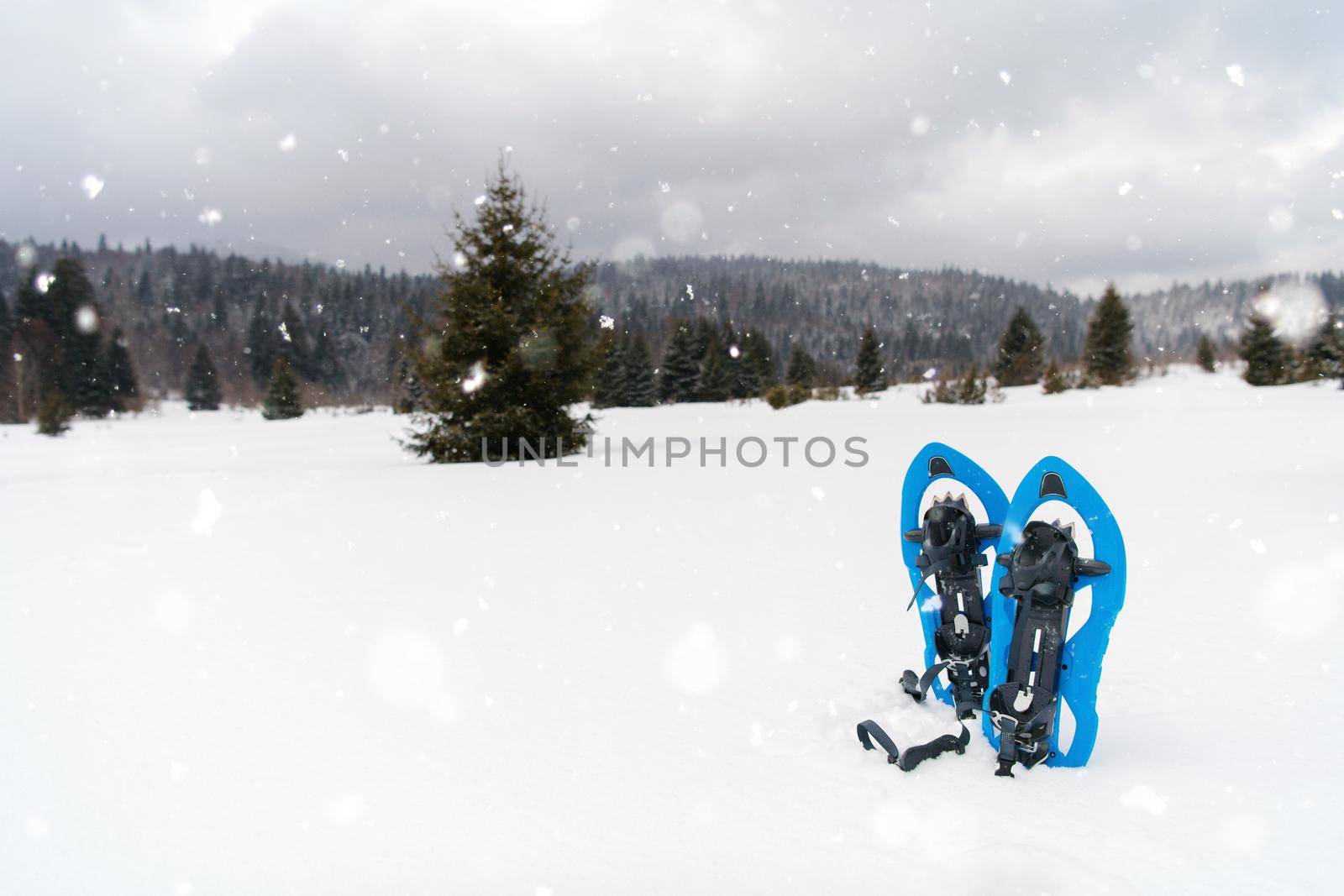 Winter hiking in the mountains  Blue snowshoes in fresh show with snowflakes around them on snowy winter day