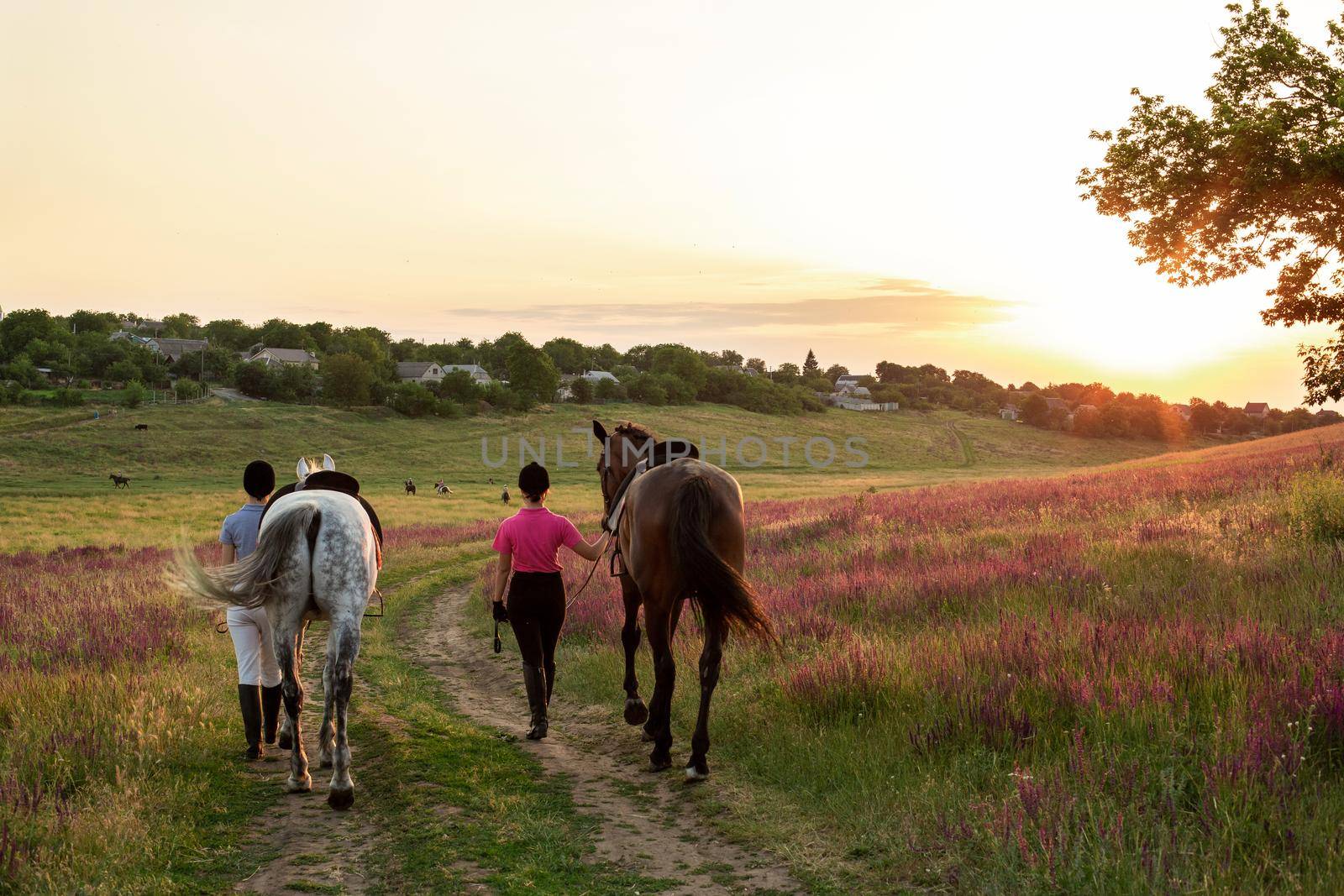 Two woman and two horses outdoor in summer happy sunset together nature. Taking care of animals, love and friendship concept.