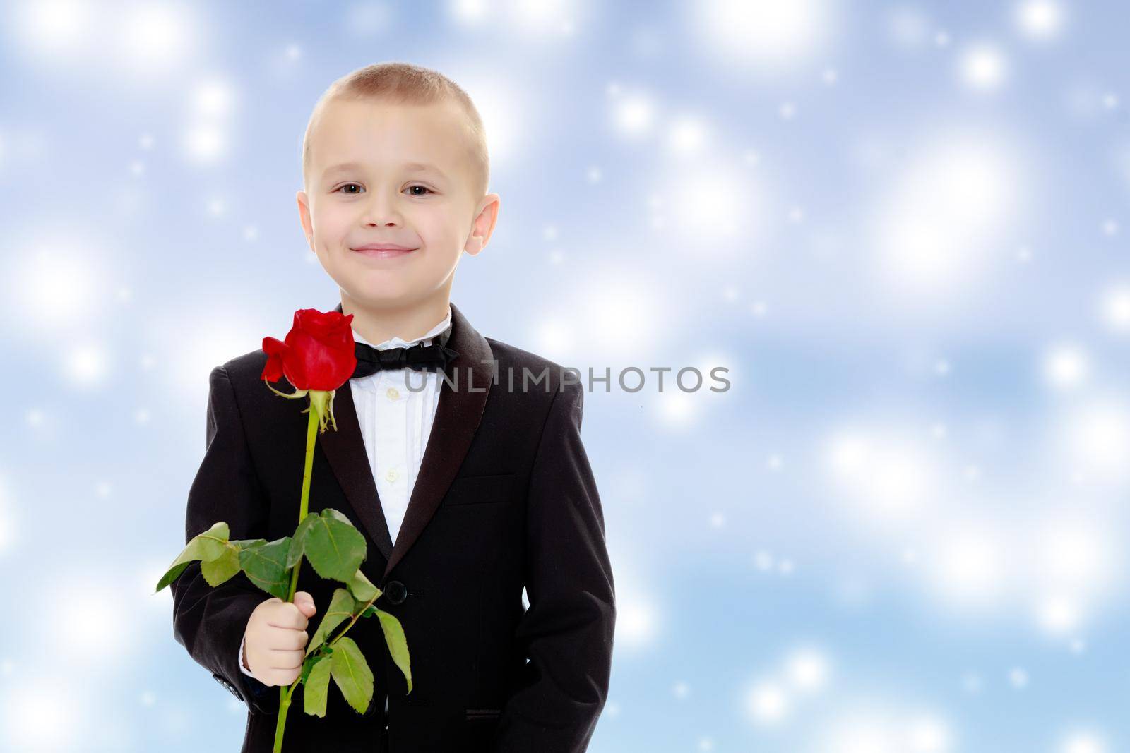 Beautiful little boy in a strict black suit , white shirt and tie.Boy holding a flower of a red rose on a long stem.Blue Christmas festive background with white snowflakes.
