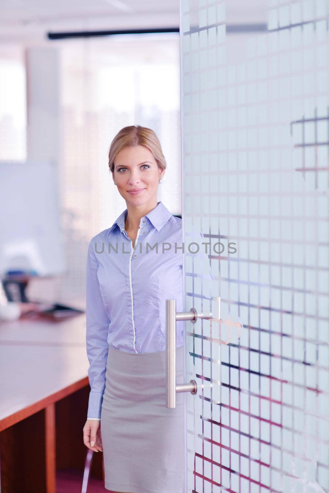 business woman at  office by dotshock
