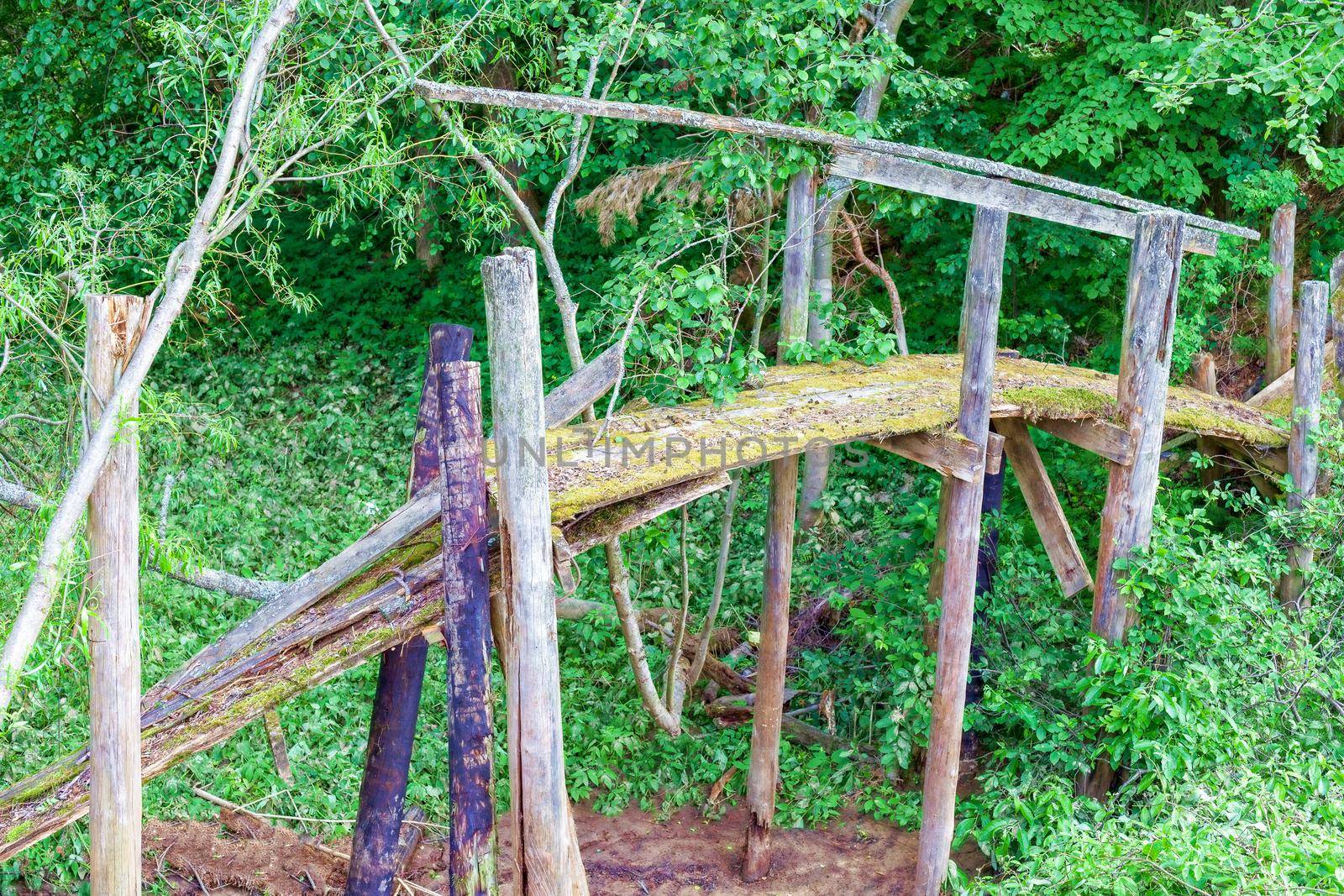 Old half-rotten wooden bridge covered with moss over a narrow stream. Long no longer used by humans. Kozionikha village, Kostroma region, Russia.