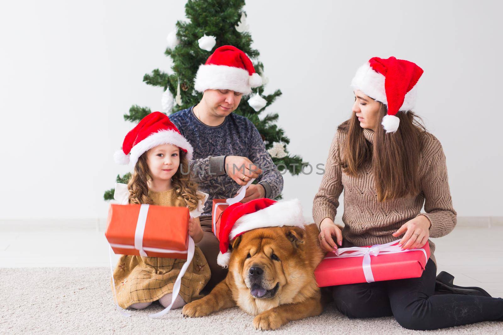 Pet, holidays and festive concept - Family with dog are standing near christmas tree. by Satura86