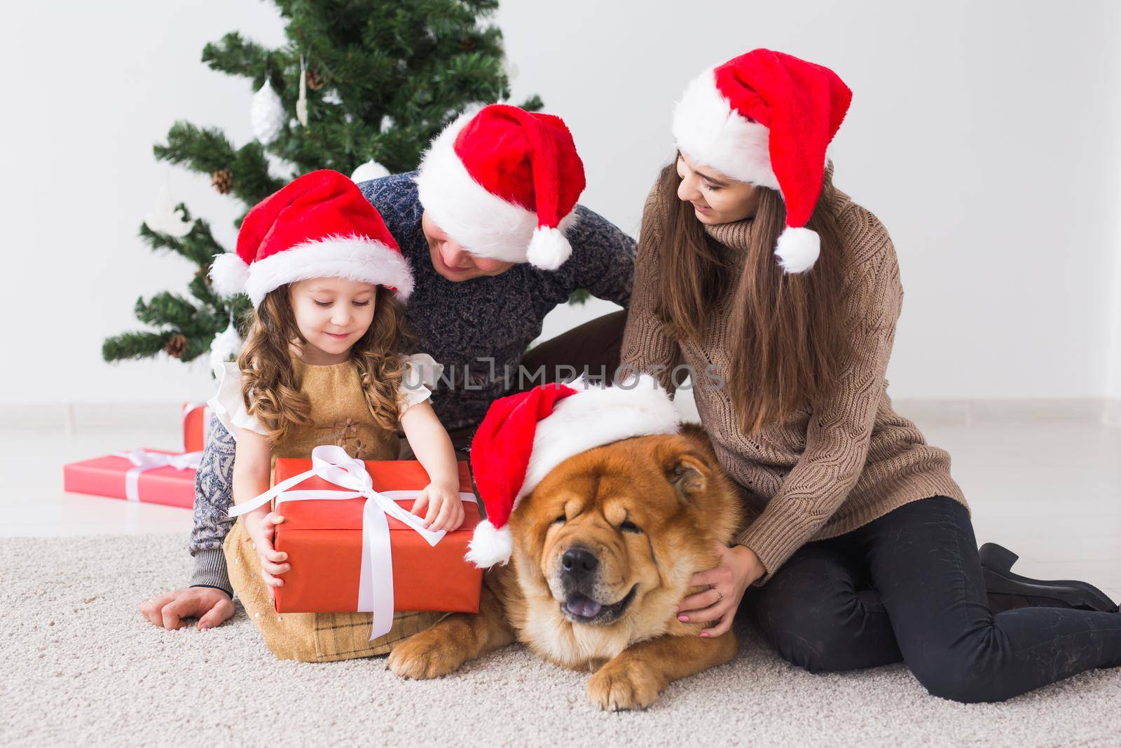 Pet, holidays and festive concept - Family with dog are sitting on floor near christmas tree. by Satura86