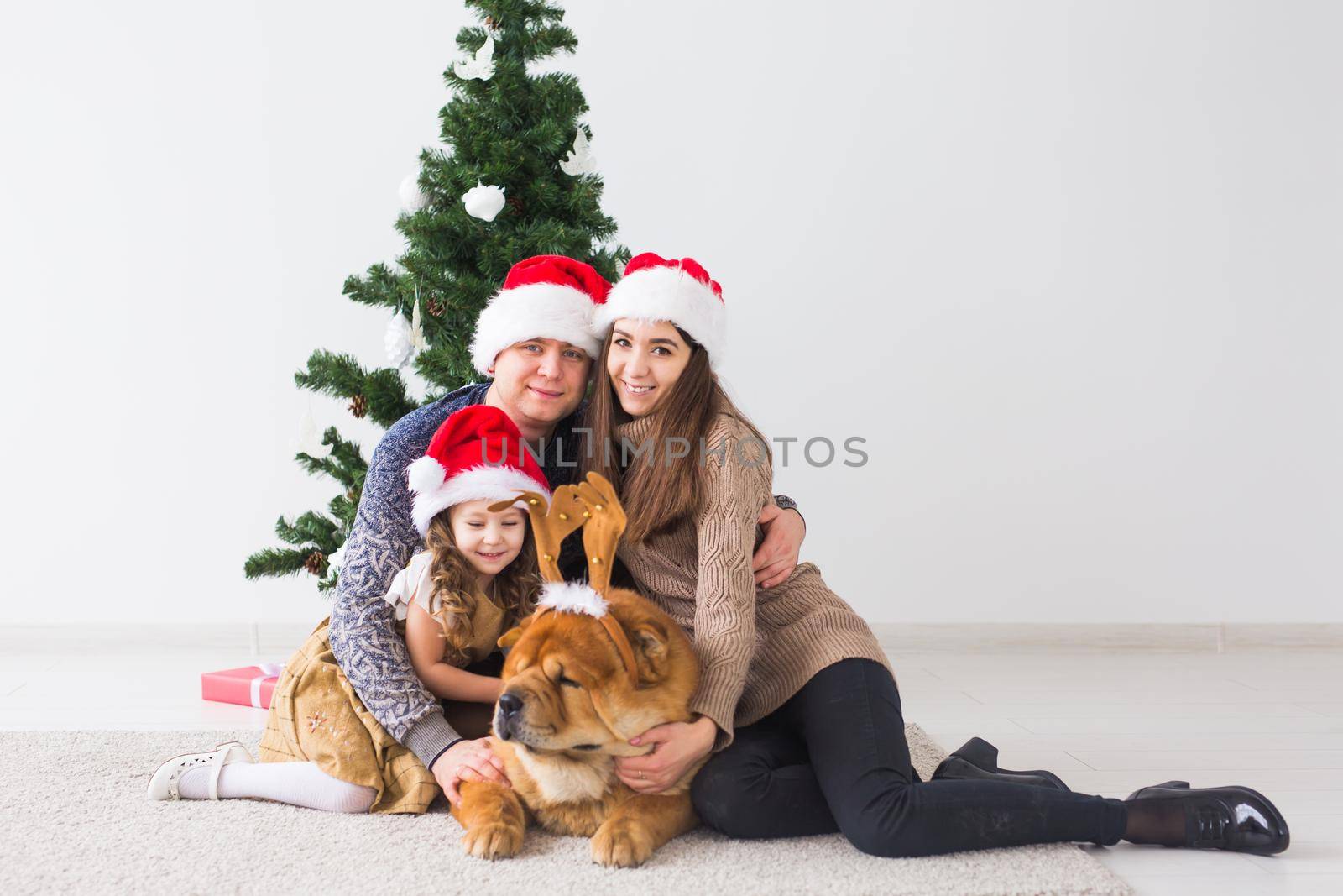 Pet, holidays and festive concept - Family with dog are sitting on floor near christmas tree. by Satura86