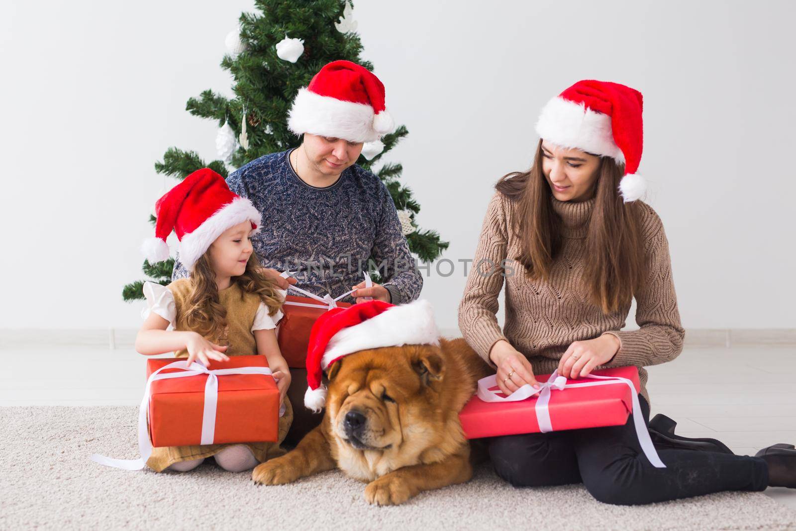 Pet, holidays and festive concept - Family with dog are sitting on floor near christmas tree. by Satura86
