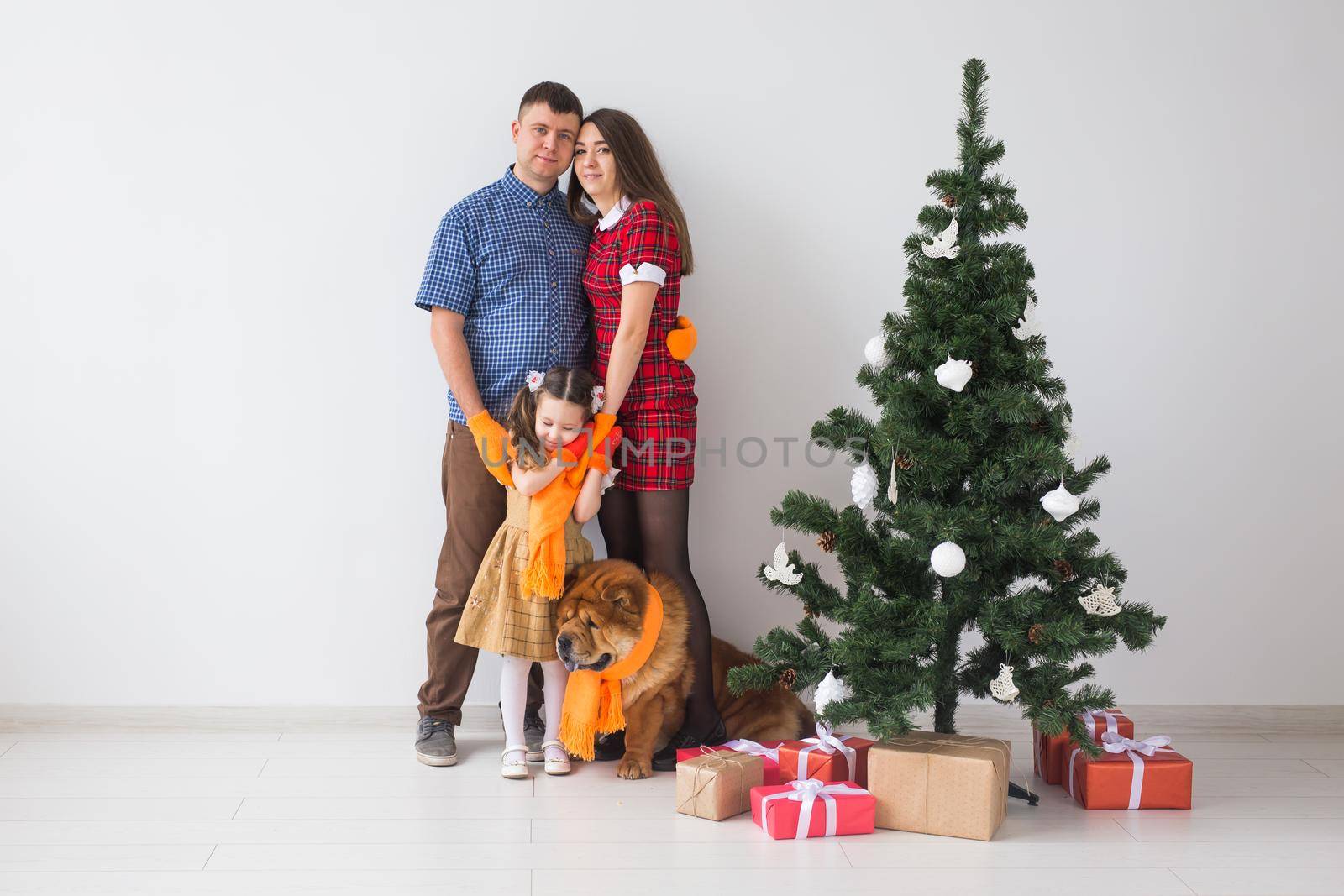 Pet, holidays and festive concept - Family with dog are standing near christmas tree