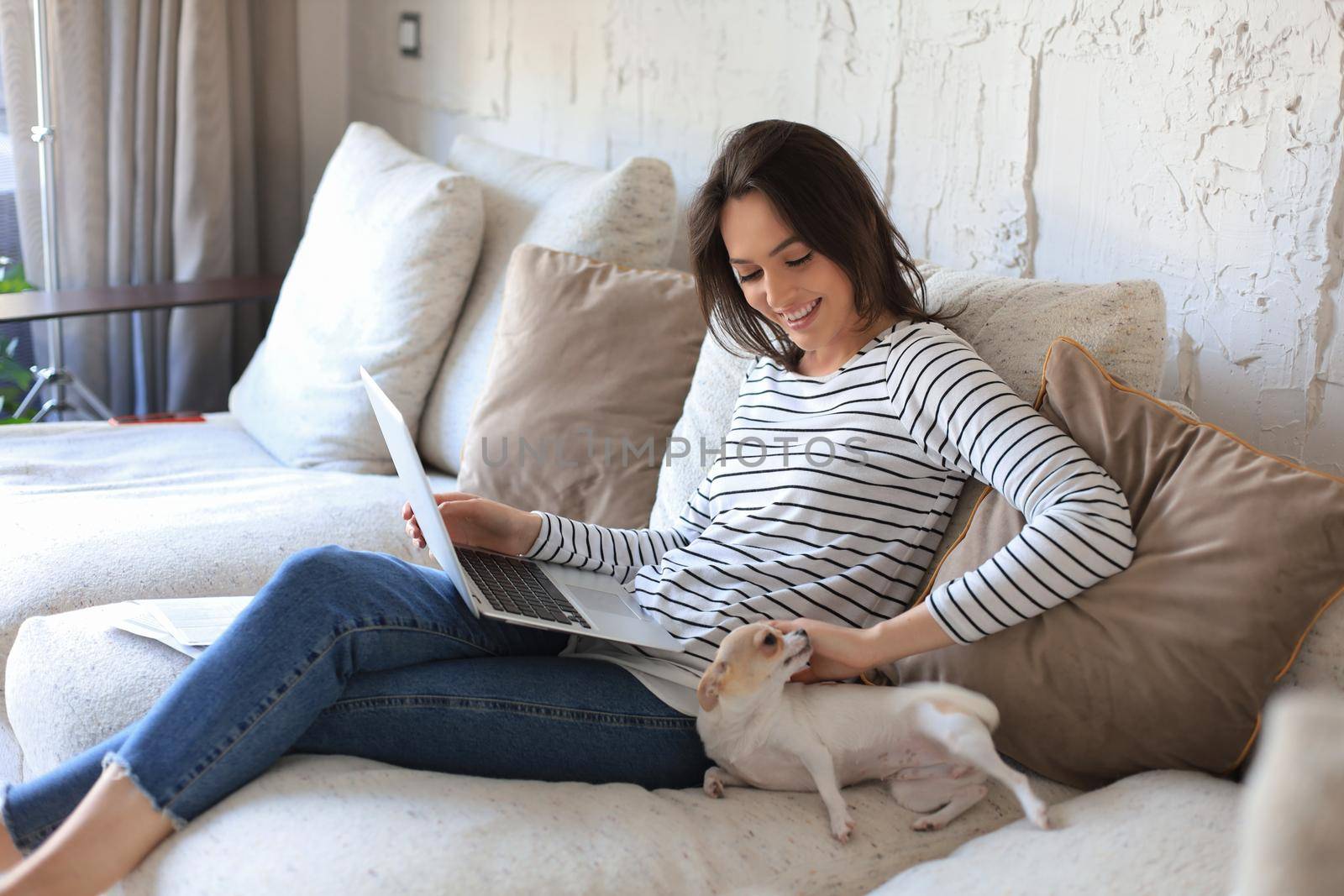 Smiling young woman sitting on sofa with laptop computer and chating with friends, little dog playing near