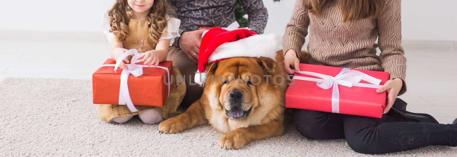 Pet, holidays and festive concept - Family with dog are lying on floor near christmas tree close-up by Satura86