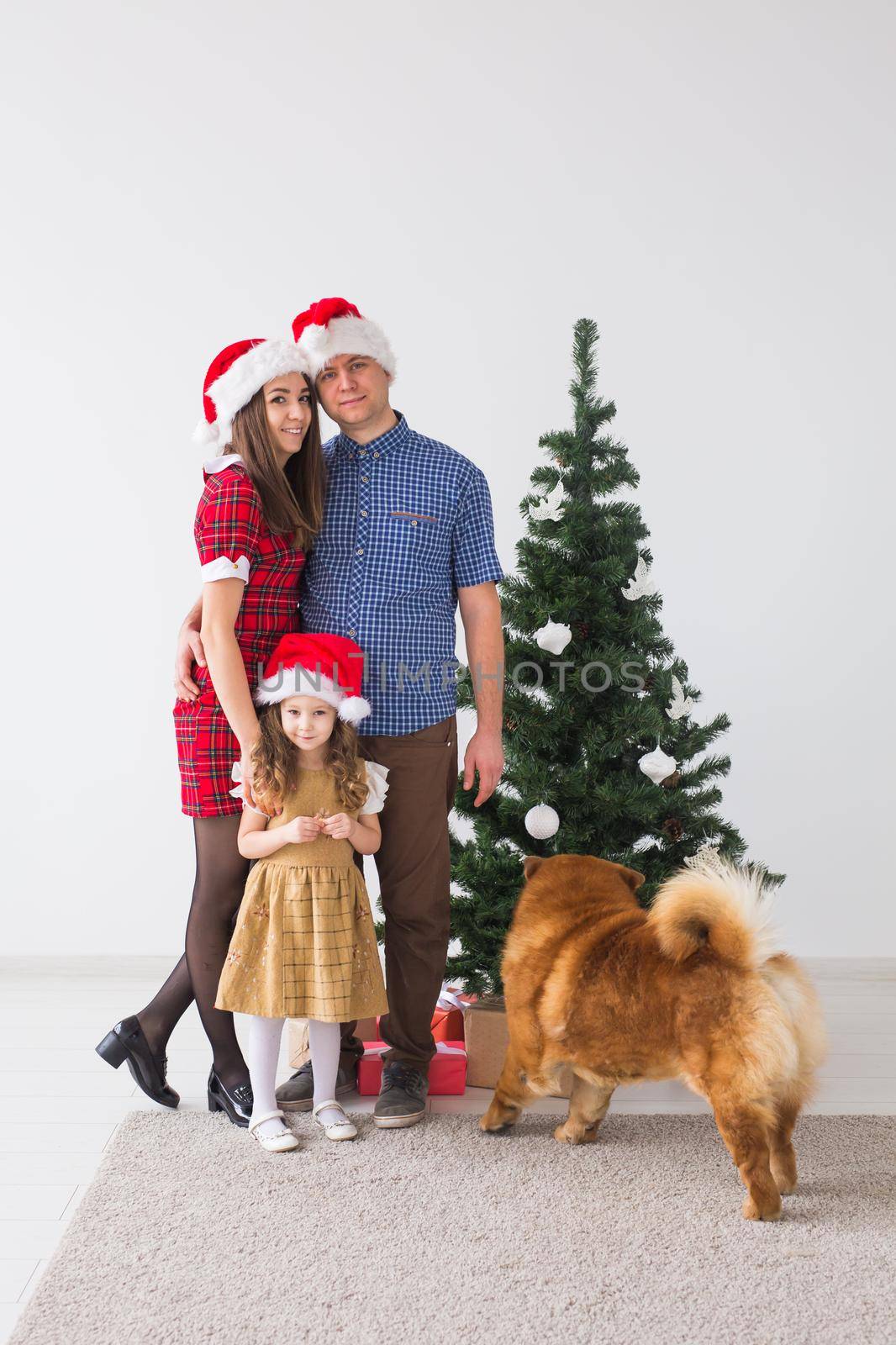 Pet, holidays and festive concept - Family with dog are standing near christmas tree