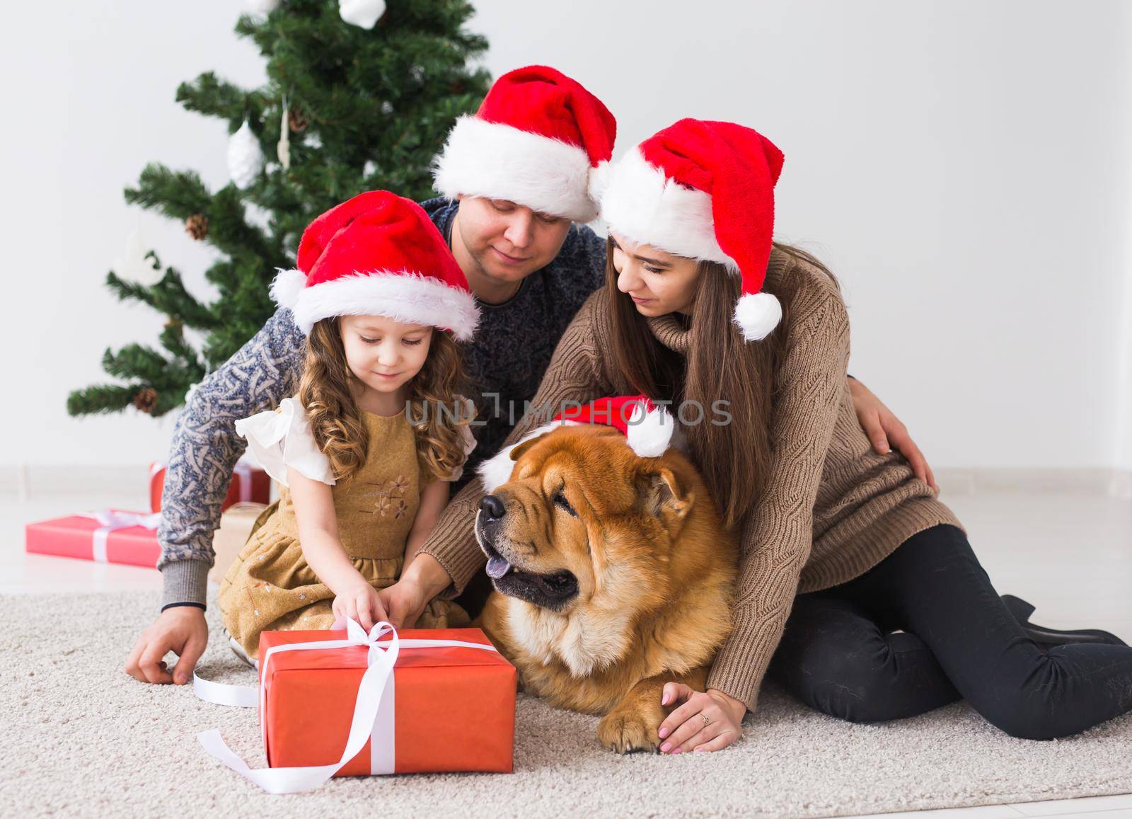 Pet, holidays and festive concept - Family with dog are lying on floor near christmas tree. by Satura86