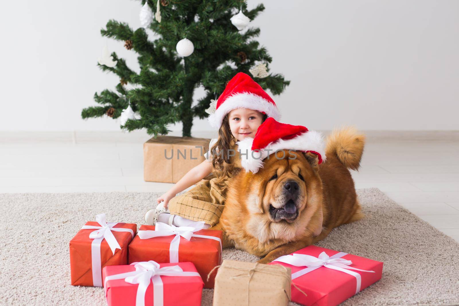 Children and pet concept - Cute girl with dog sitting near the Christmas tree. Merry Christmas and Happy Holidays