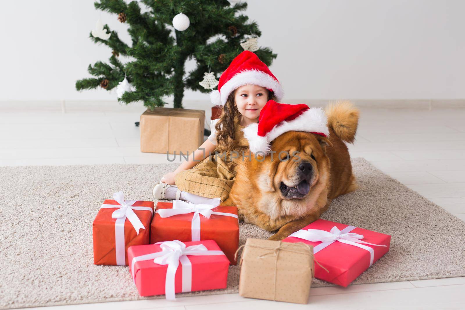 Children and pet concept - Cute girl with chow dog sitting near the Christmas tree. Merry Christmas and Happy Holidays. by Satura86