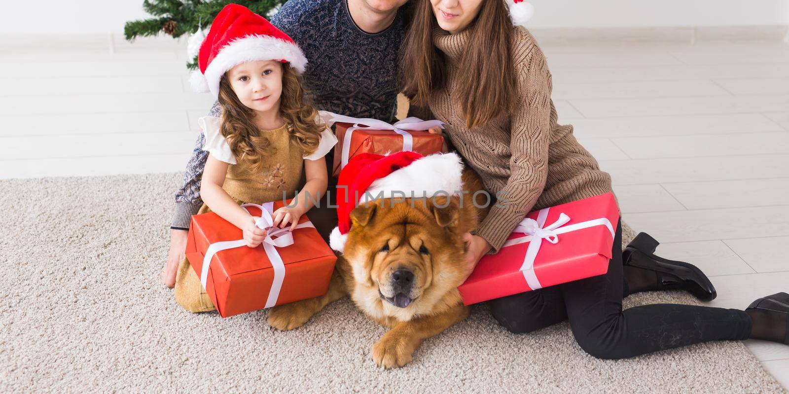 Pet, holidays and festive concept - Family with dog are lying on floor near christmas tree, close-up by Satura86