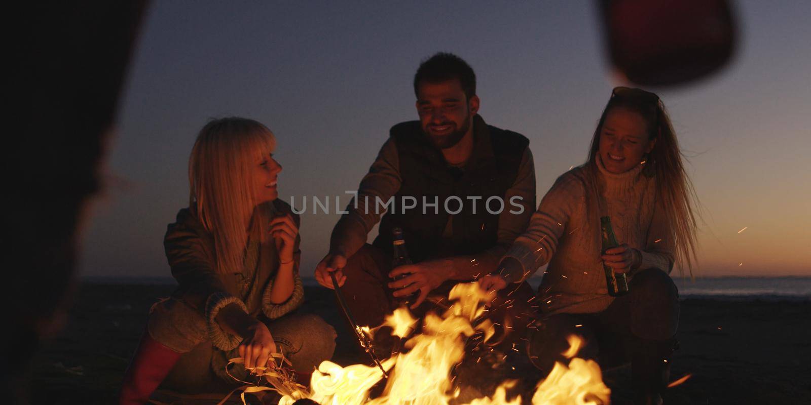 Young Friends Making A Toast With Beer Around Campfire at beach by dotshock