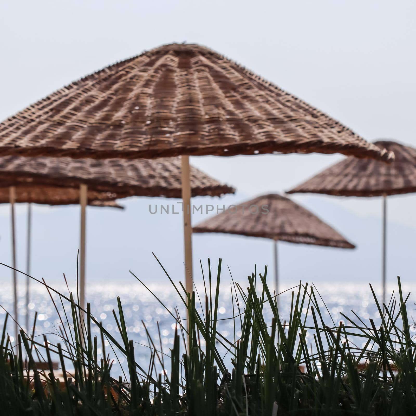 Green grass and beach sunshades against the backdrop of the shining blue sea. Summer vacation concept