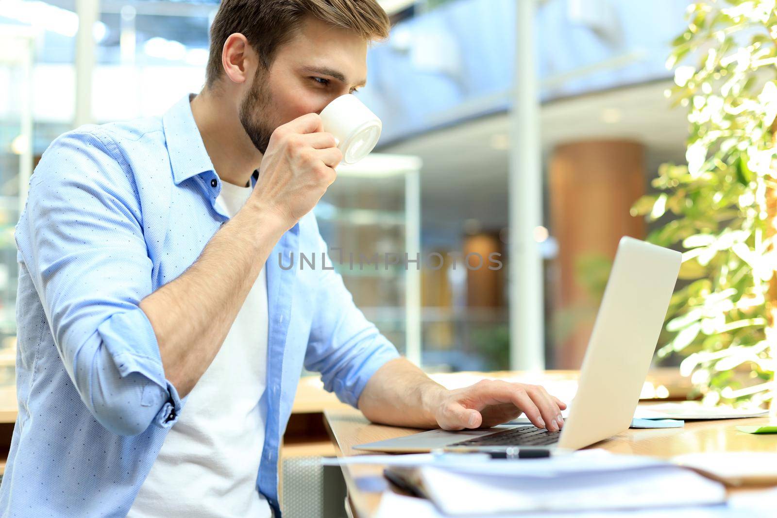 Portrait of young man sitting at his desk in the office, drinking coffee and typing on the laptop