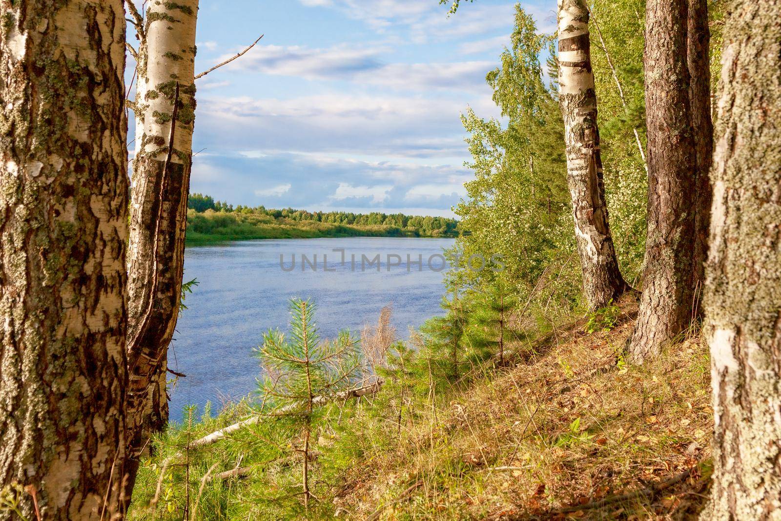 View of the traveler from the shore to the river in Vetluga. Kostroma region. Russia. The concept of tourism, Summer holidays with the whole family.