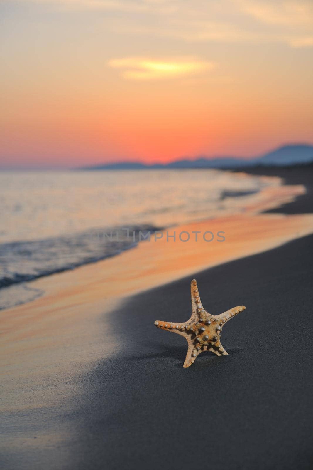 summer beach sunset with star on beach by dotshock