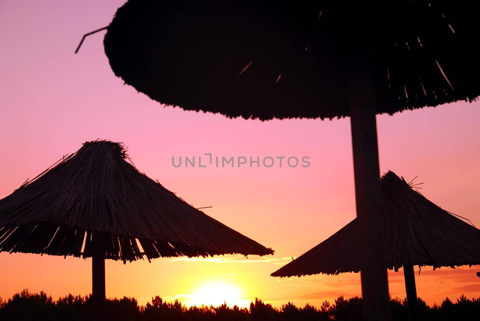 sunshine on beach with beach umbrellas silhouette by dotshock