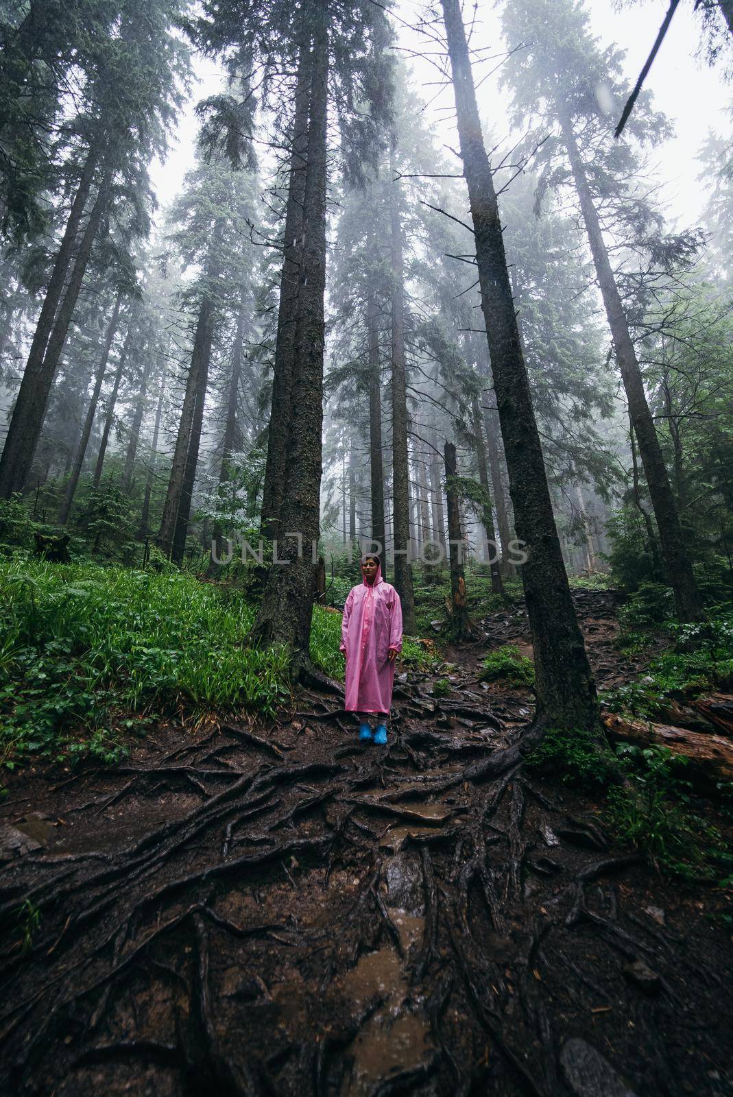 woman in raincoat walking by rainy forest