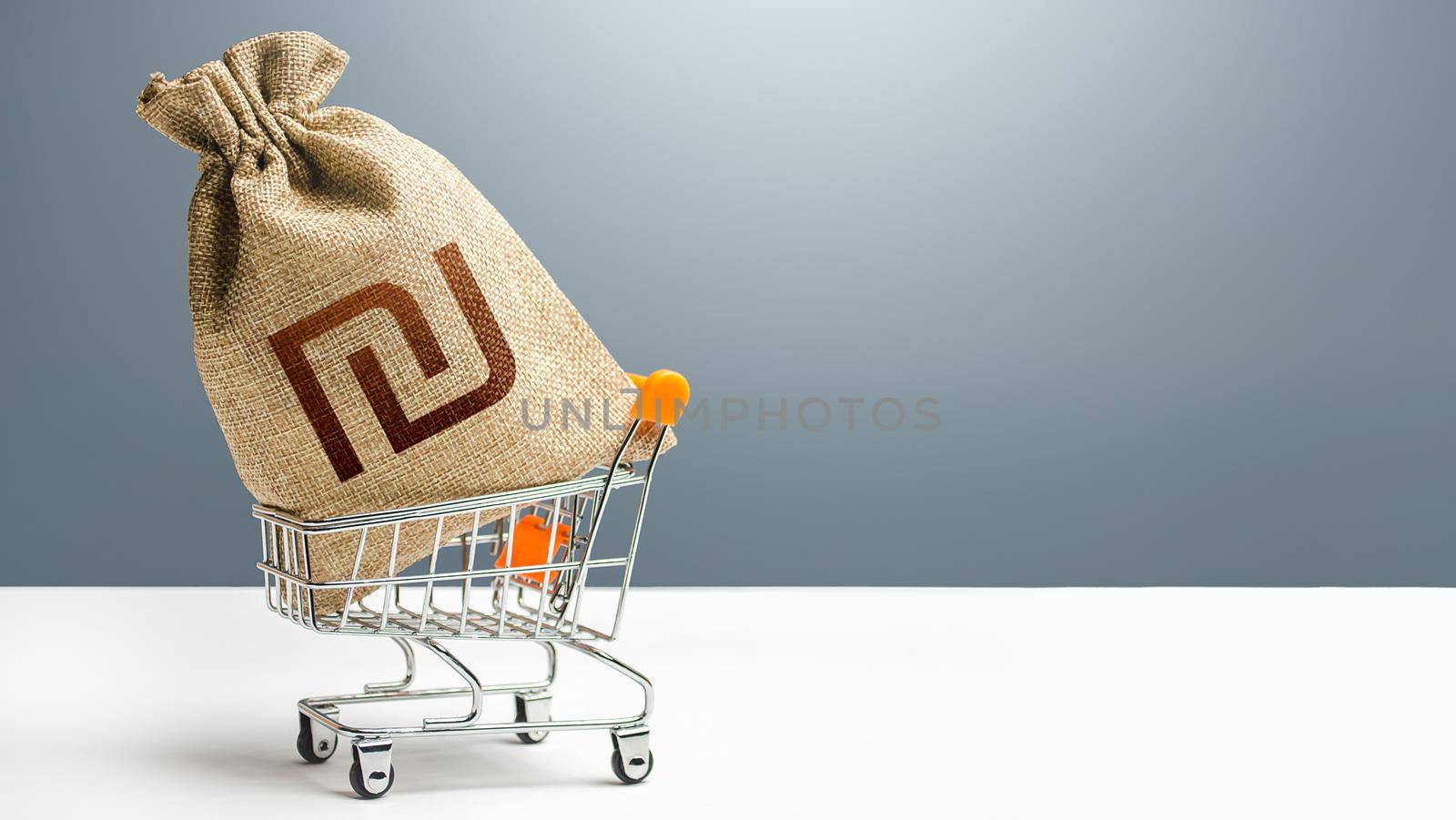 Israeli shekel money bag in a shopping cart. Public budgeting. Profits and super profits. Business and trade concept. Minimum living wage. Loans, microloans. Consumer basket. Economic bubbles.