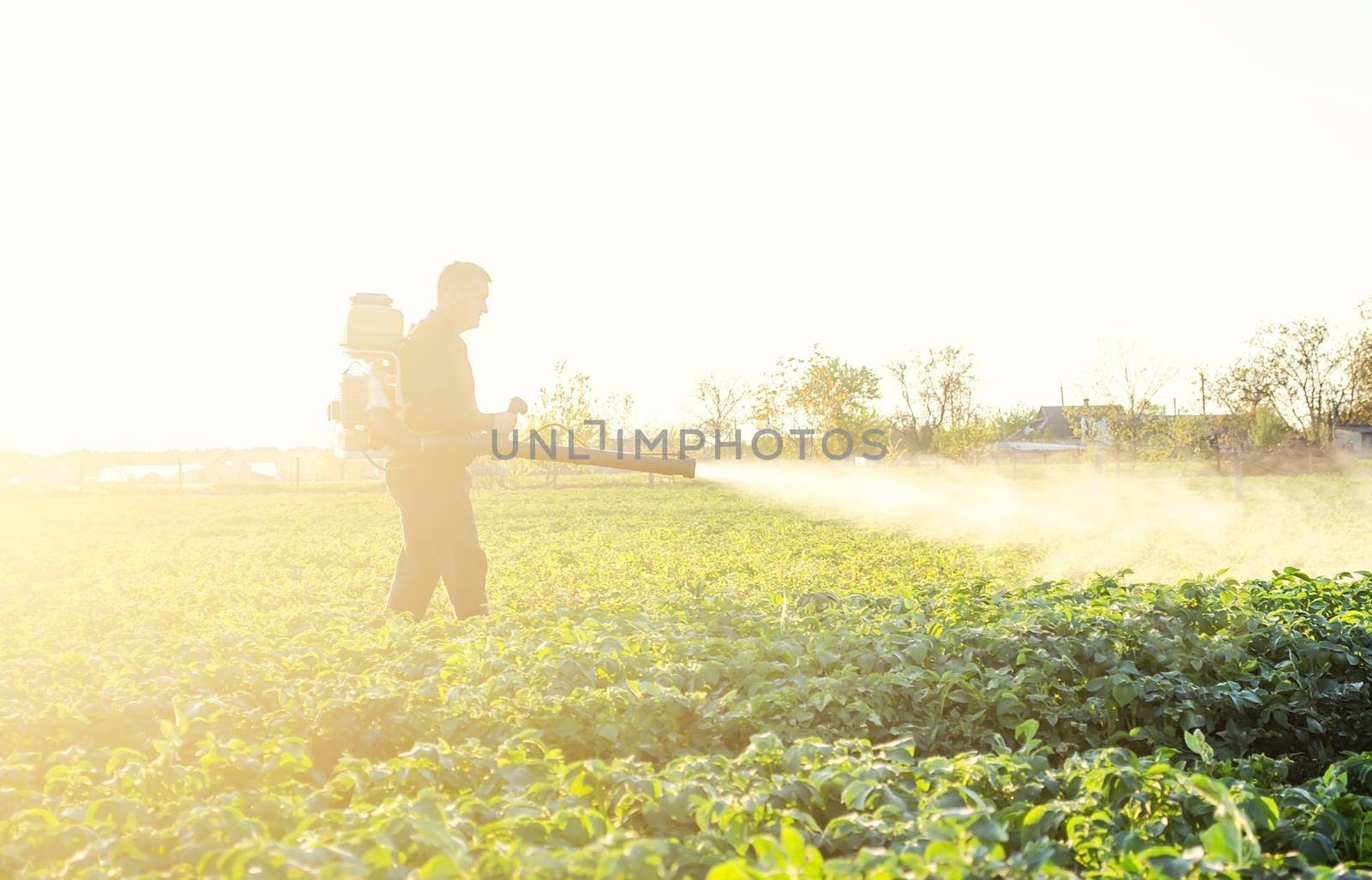 Farmer processing a potato plantation with a sprayer to protect from insect pests and fungal diseases. Agriculture and agribusiness, agricultural industry. Reduced crop threat. Plant rescue.