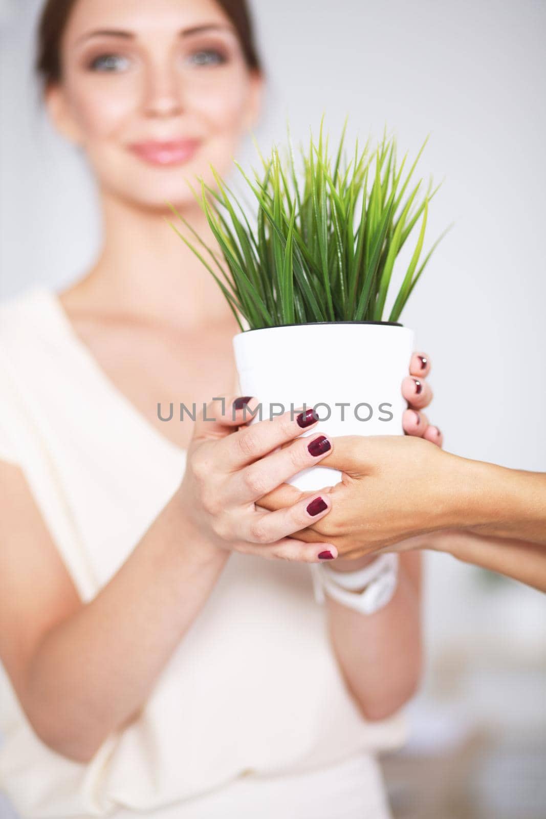 Beautiful woman holding pot with a plant, standing