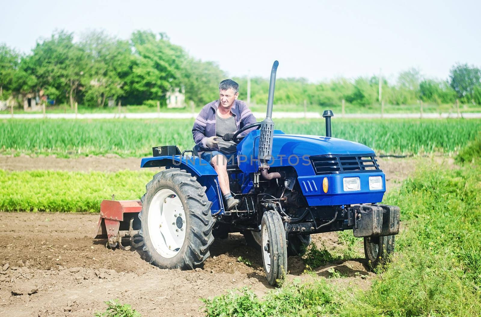 A farmer drives a tractor on a farm field. Agricultural cultivation technology equipment and technical transport. Loosening the surface, cultivating land for further planting. Farmer support subsidies by iLixe48