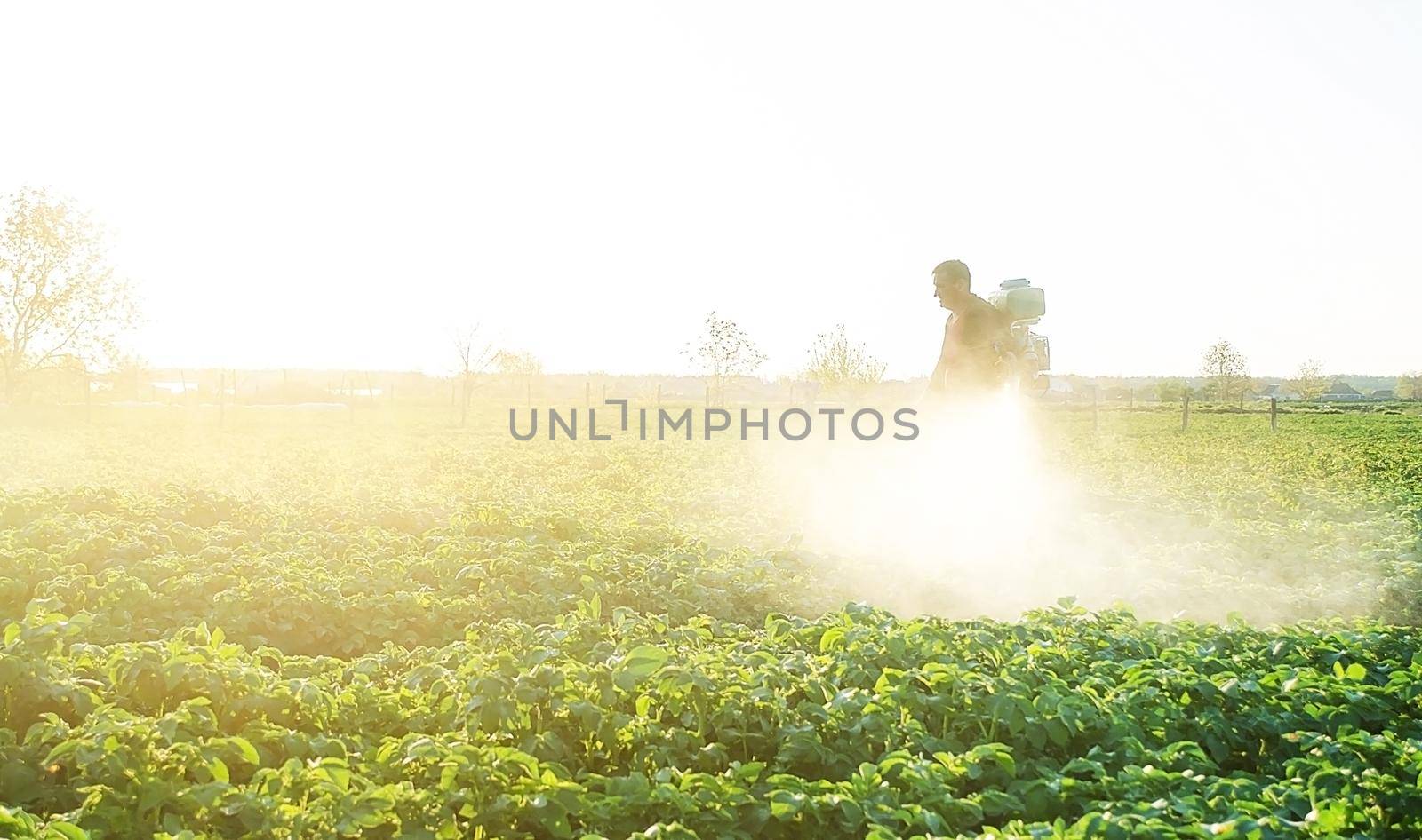 Farmer spraying plants with pesticides in the early morning. Agriculture and agribusiness, agricultural industry. The use of chemicals in agriculture. Protecting against insect and fungal infections.