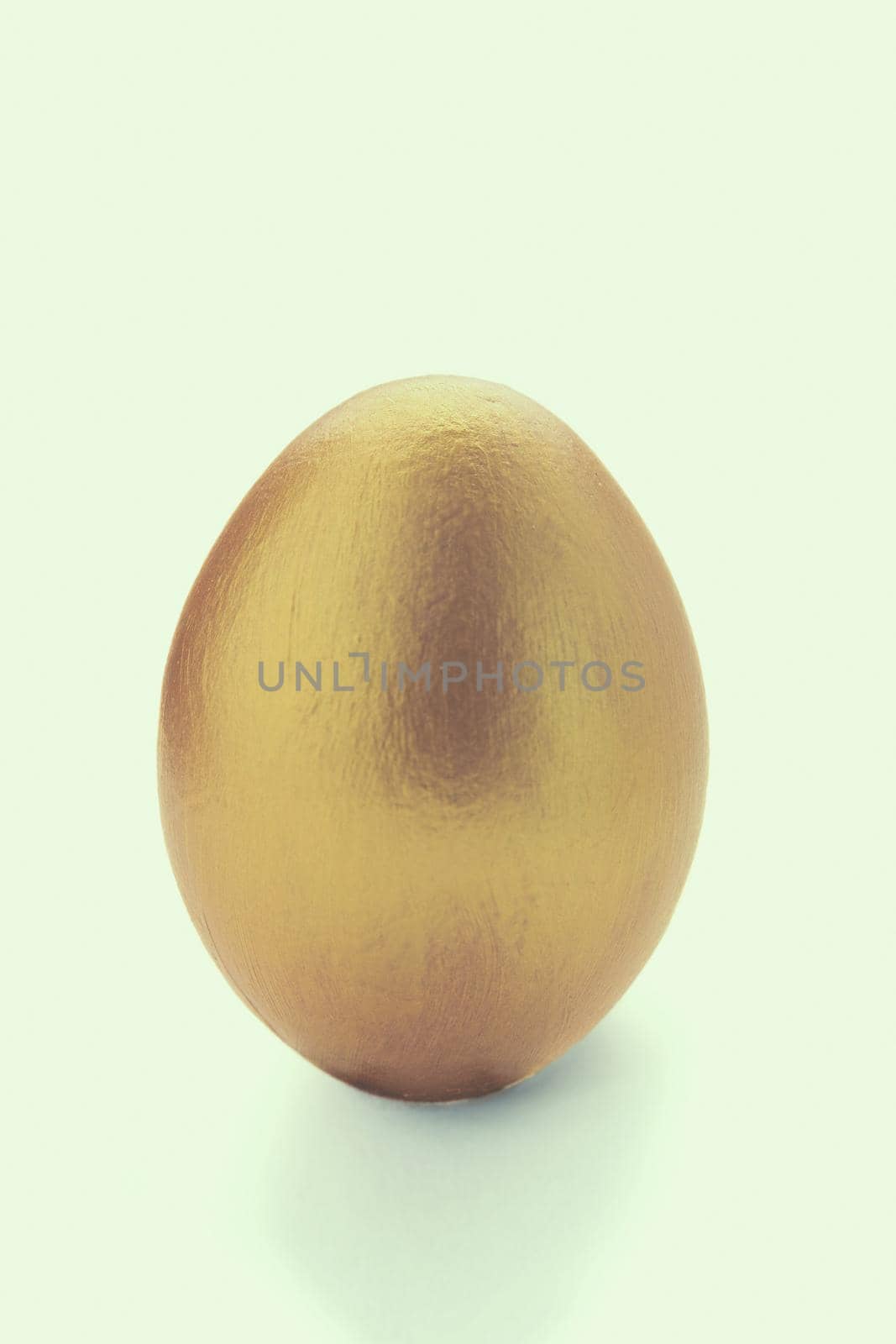 Golden egg on white background.