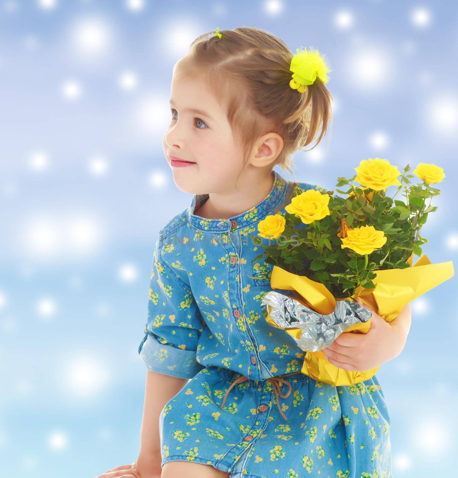 Pensive little girl in a short summer robe, holding a bouquet of yellow flowers.Gentle blue Christmas background with white snowflakes abstract.