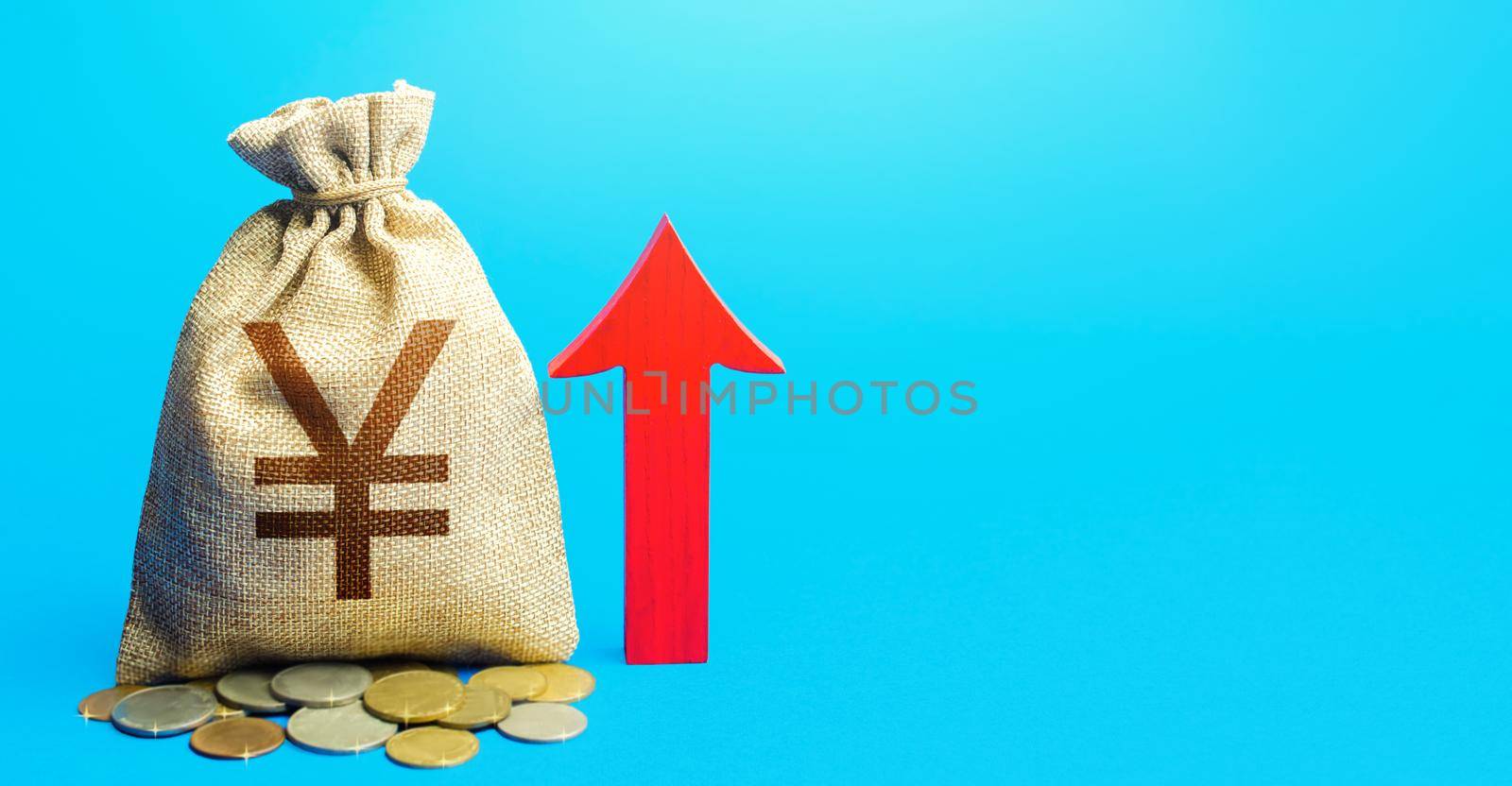 Yuan Yen money bag with red arrow up. Raising taxes. Increase in profitability and prosperity, higher living standards. Deposit interest. Recovery of financial system after crisis. Budget growth