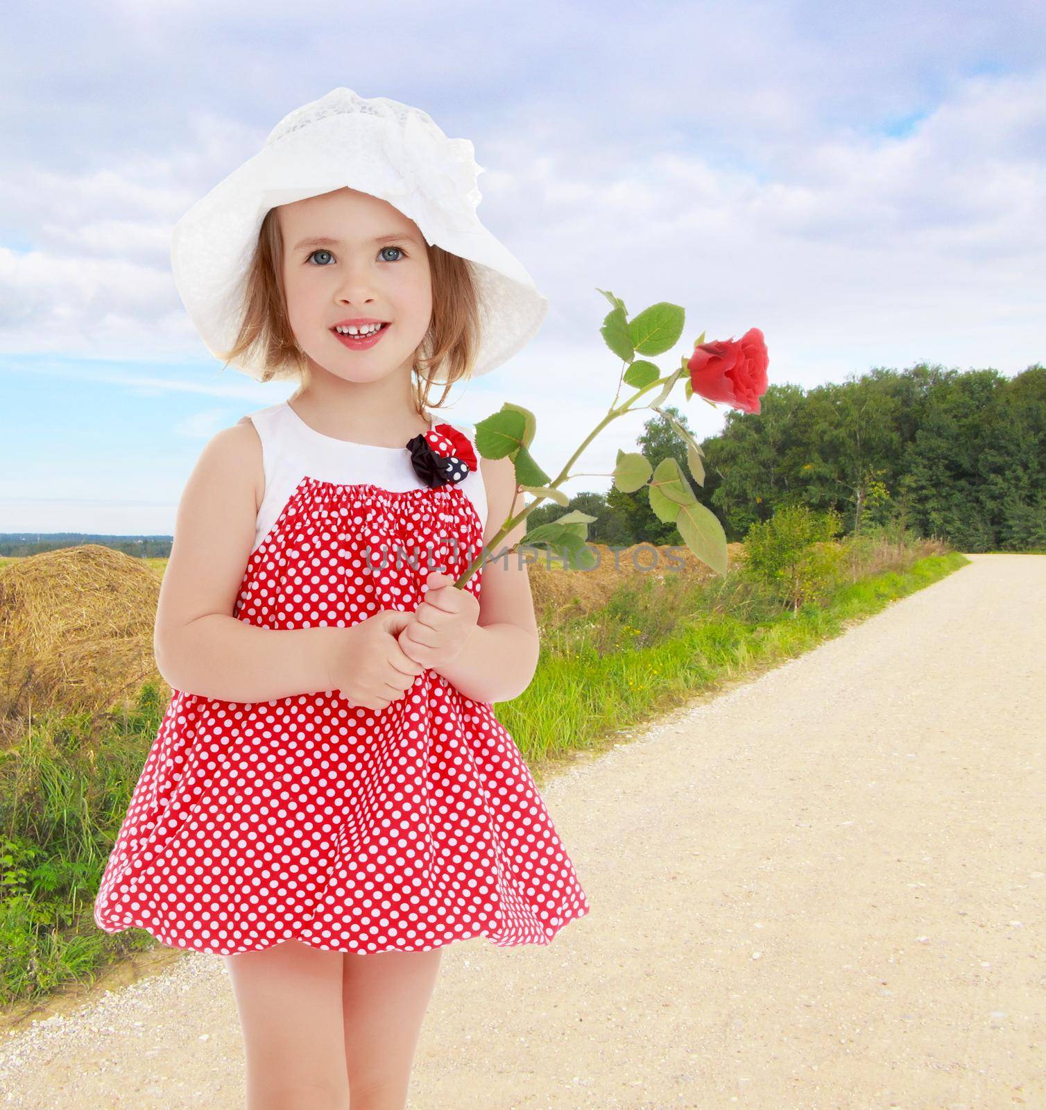 Happy little girl in very short red polka dot dress and white summer beach Panama , holds a red rose flower.Close-up.Against the background of a dirt road , green grass and cut hay .