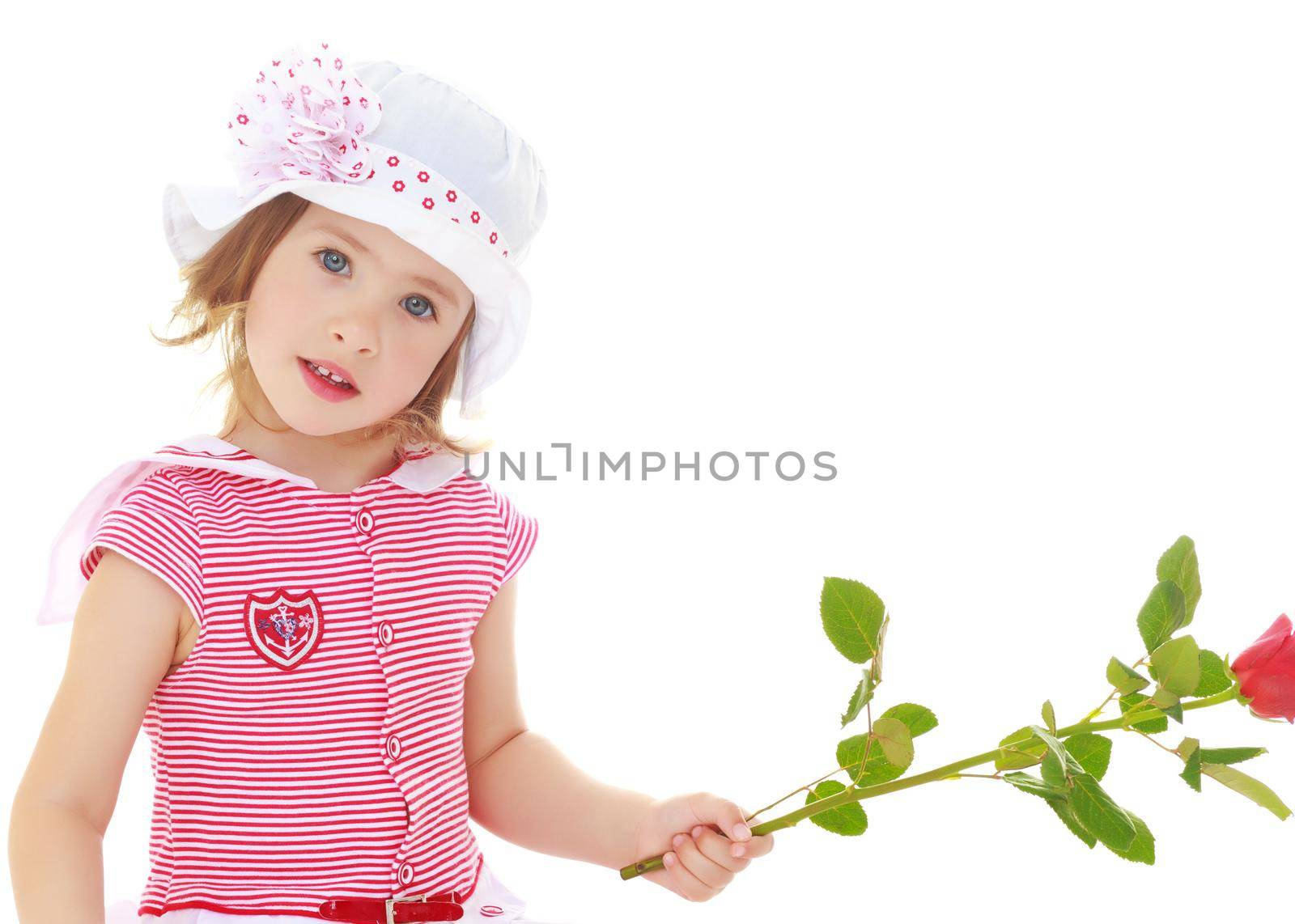 Gentle little girl in pink dress and panama with a white bow holding a rose flower.Close-up.Isolated on a white background.