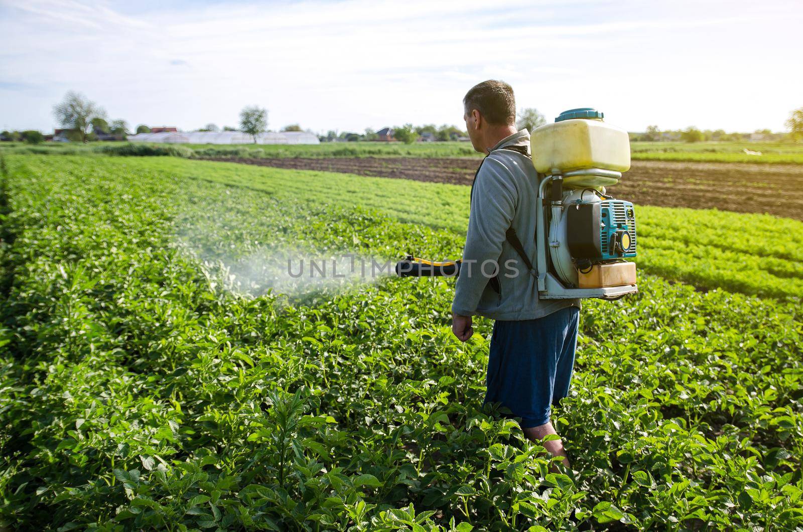 A farmer with a mist fogger sprayer sprays fungicide and pesticide on potato bushes. Protection of cultivated plants from insects and fungal infections. Effective crop protection, environmental impact by iLixe48