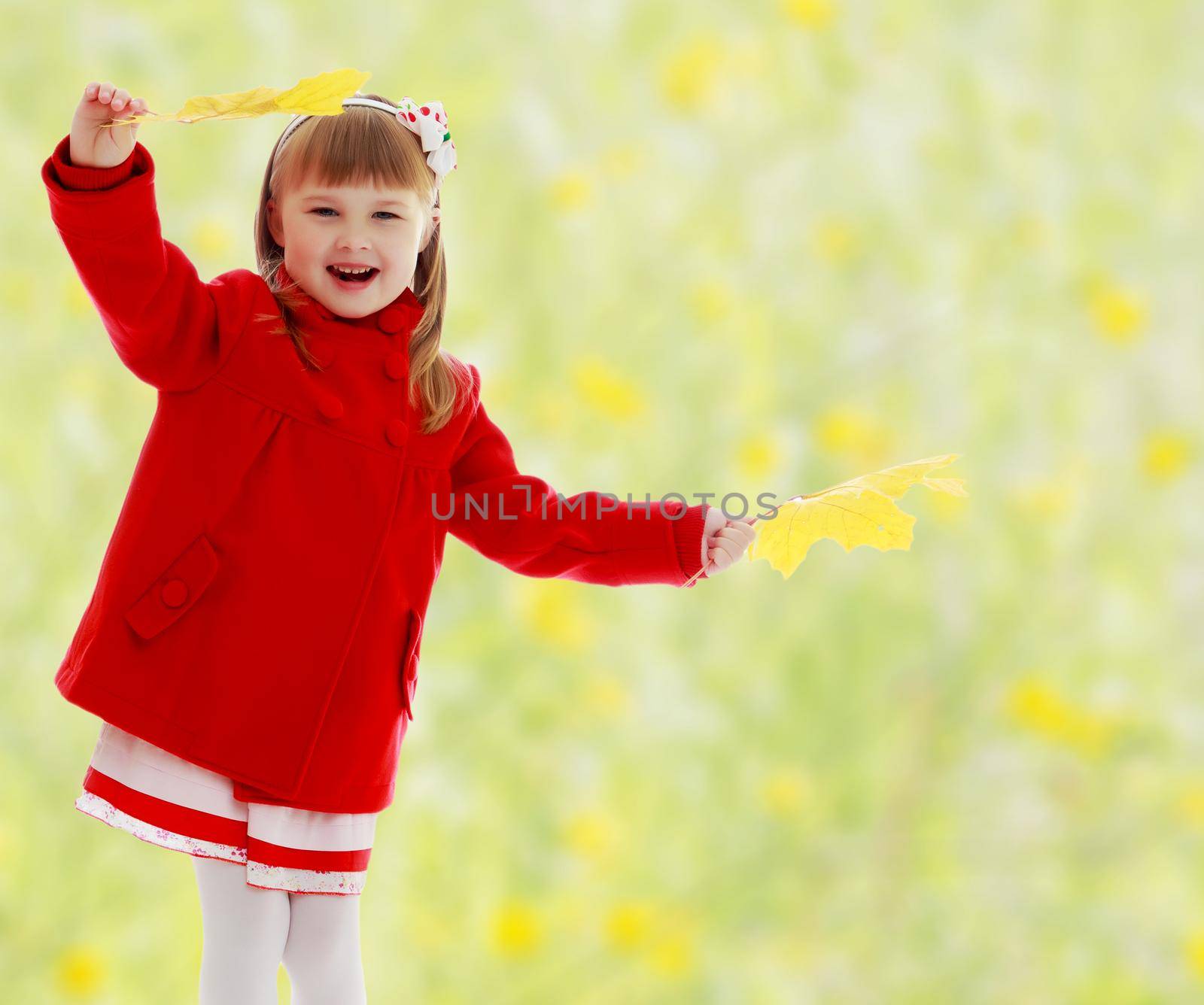 Joyful little girl in a bright red coat waving yellow maple leaves.The concept of changing seasons in the life of a child. Yellow green blurred background.