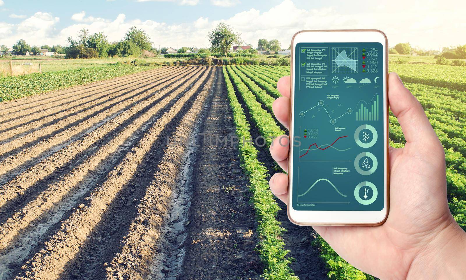 Phone with infographics on the background of a farm field plantation. Process of crop maturation, moisture and soil nutrition. Innovative technologies in the agroindustry and food production. by iLixe48