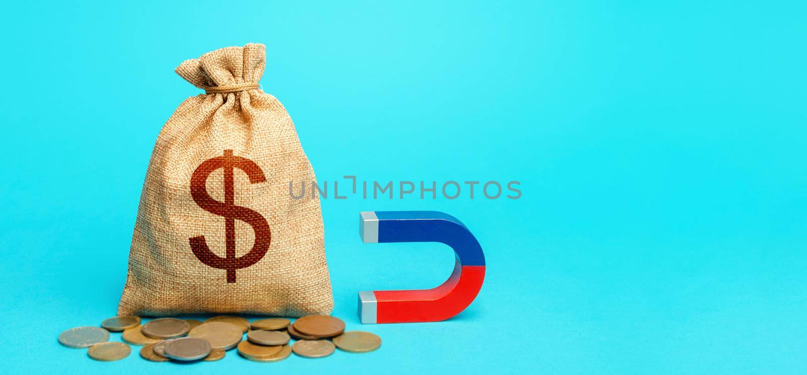 Dollar money bag and magnet. Raising funds and investments in business projects and startups. Take part in tenders. Accumulation and attraction of capital. Tax collection. Money laundering by iLixe48