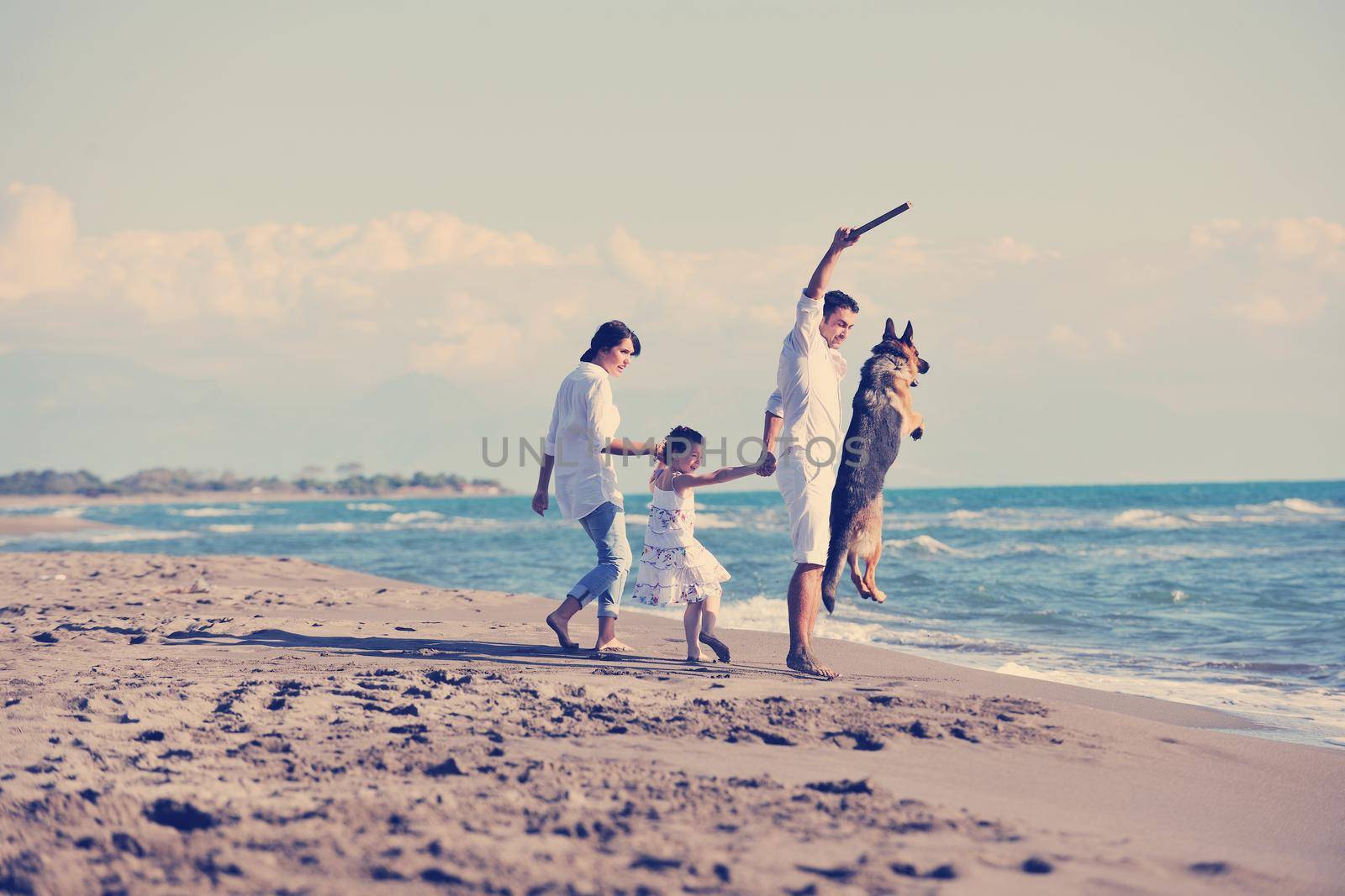 happy family playing with dog on beach by dotshock