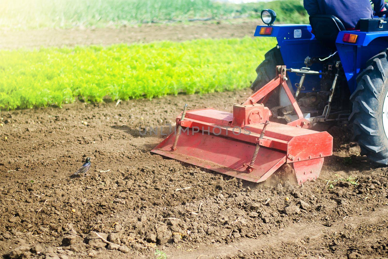 Tractor with milling machine loosens, grinds and mixes soil. Loosening the surface, cultivating the land for further planting. Farming and agriculture. Cultivation technology equipment by iLixe48