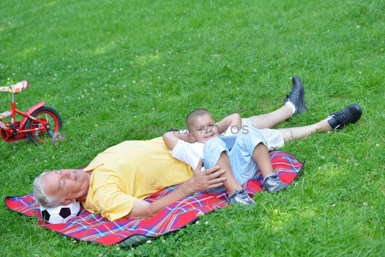 grandfather and child in park using tablet computer