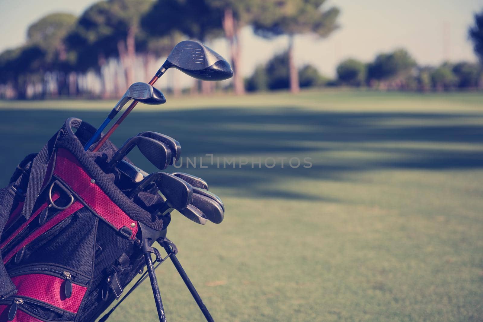 close up golf bag on course by dotshock