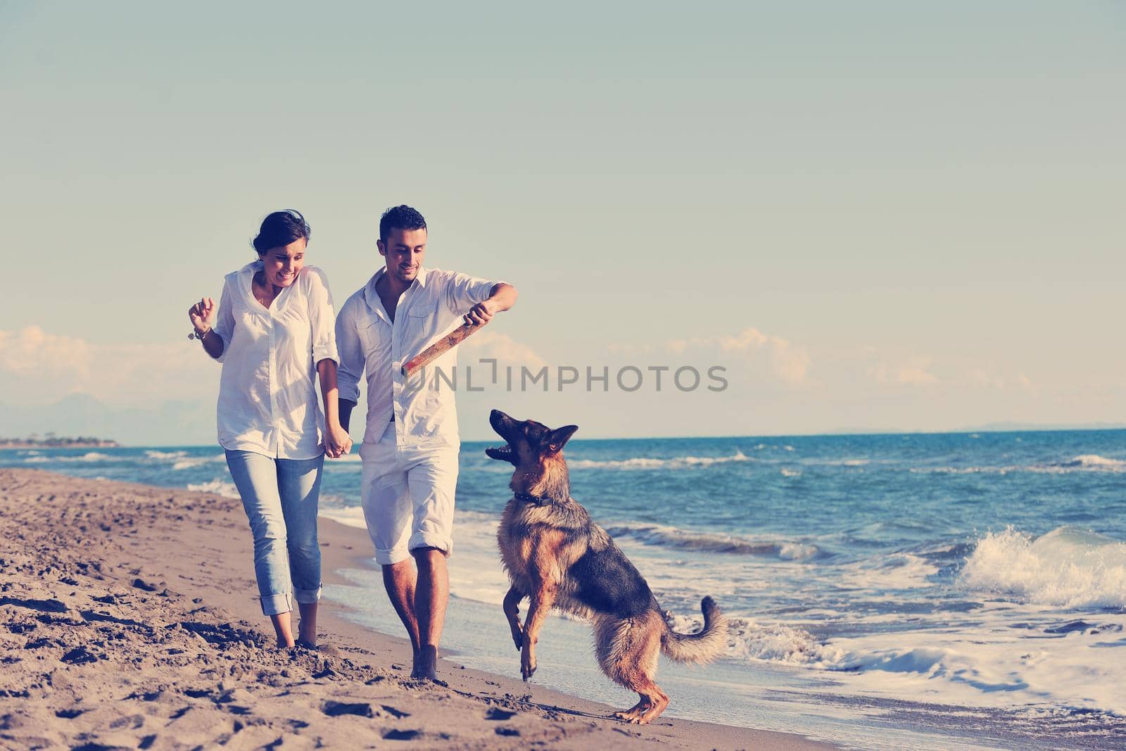 happy young family in white clothing have fun and play with beautiful dog at vacations on beautiful beach 