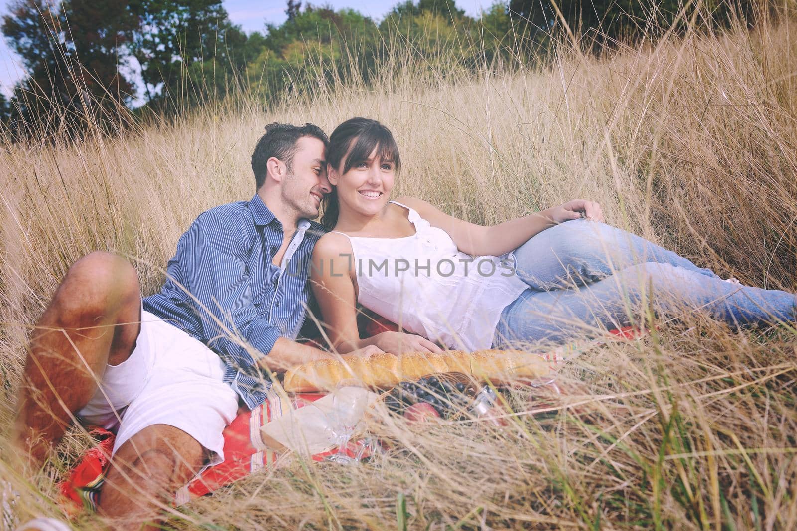 happy couple enjoying countryside picnic in long grass by dotshock