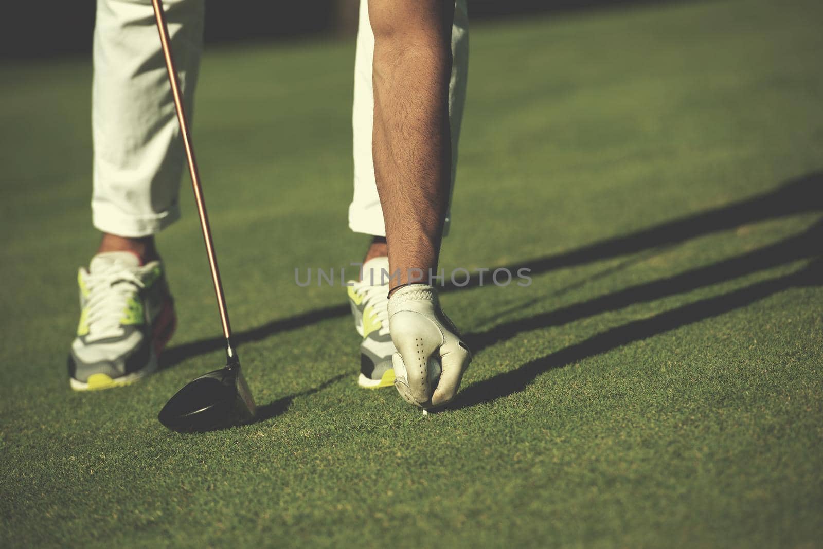 golf player placing ball on tee. beautiful sunrise on golf course landscape  in background