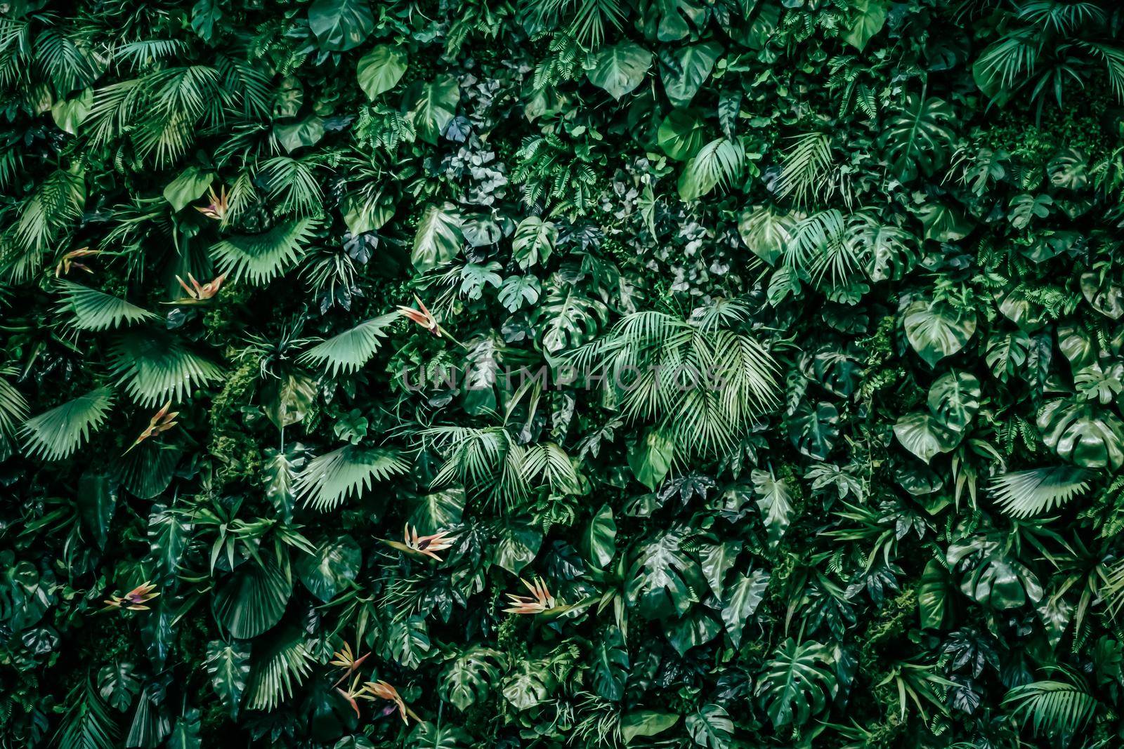 Tropical leaves as nature and environmental background, botanical garden and floral backdrop, plant growth and landscape design by Anneleven