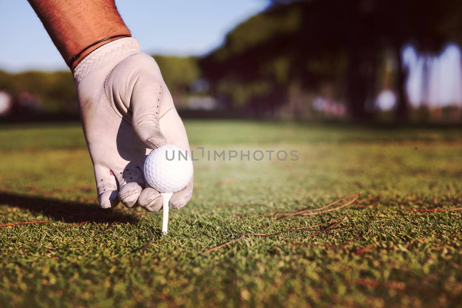 close up of golf players hand placing ball on tee by dotshock