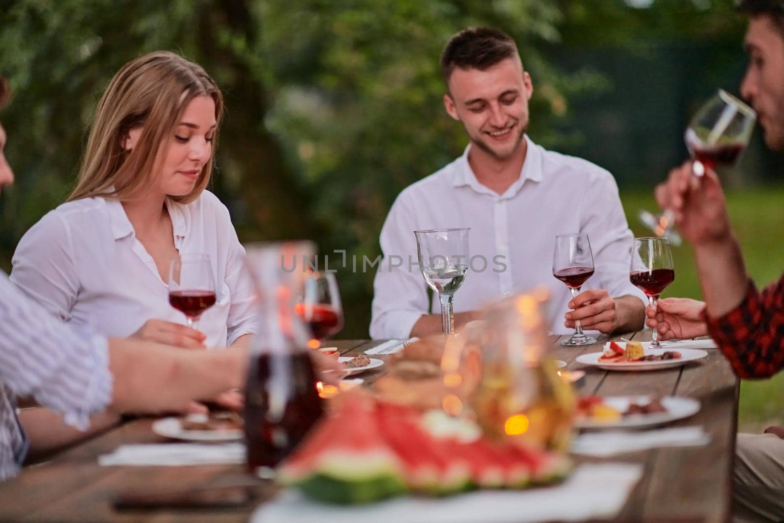 friends toasting red wine glass while having picnic french dinner party outdoor by dotshock
