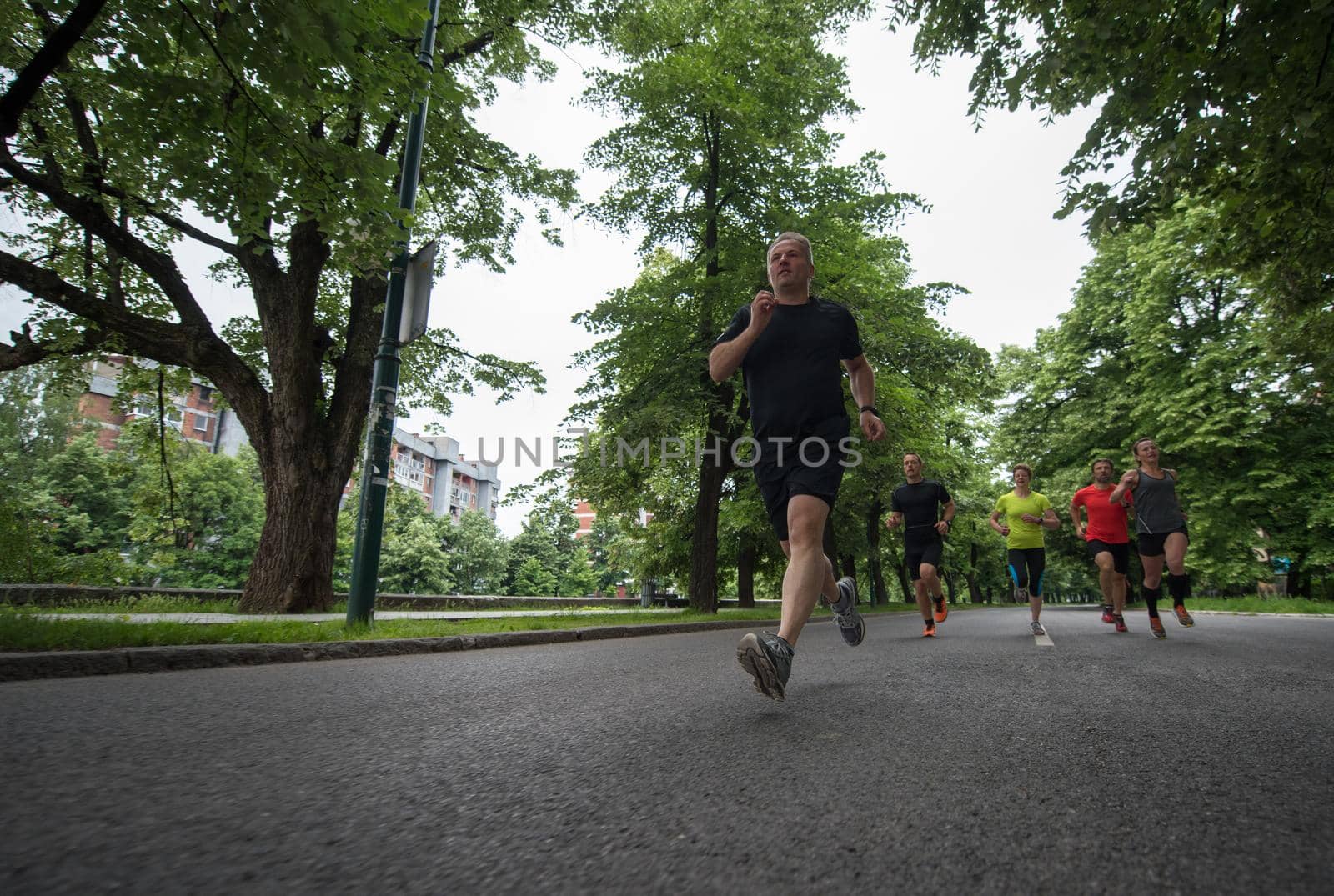 group of healthy people jogging in city park, runners team on morning training